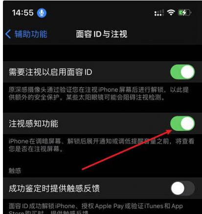 神湾镇苹果14维修网点分享iPhone14注视感知功能有什么用 